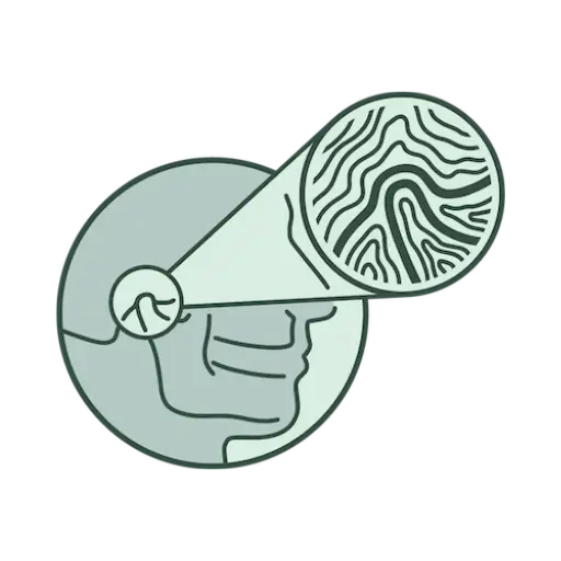 Summit Oral Surgery Illustration of X-Ray of Face and Jawbone